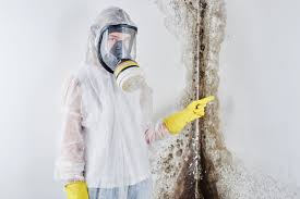 Best Industrial Mold Remediation  in Cottonwood Shores, TX